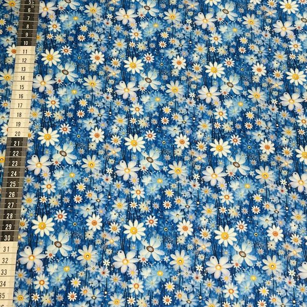 Hovedbilde Små Hvite Blomster på Blå Bakgrunn